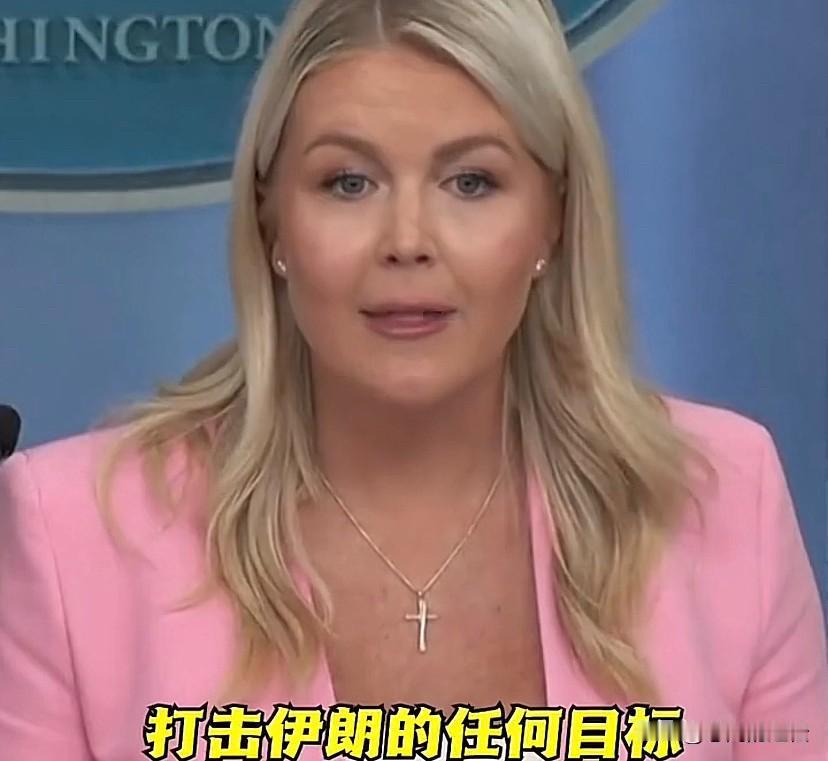 美国是怎么做到脸不红心不跳的，一边在说谎，一边还在向世界炫耀！
莱维特在白宫记者
