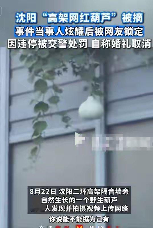 摘葫芦男“社会性死亡”：处罚曝光，婚礼取消，脸面和幸福都没了谁能想到，一个葫芦在