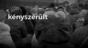 匈牙利：克里米亚应该归属于俄罗斯，匈牙利将有被欧盟踢出群的危险⚠️。
近日，匈牙