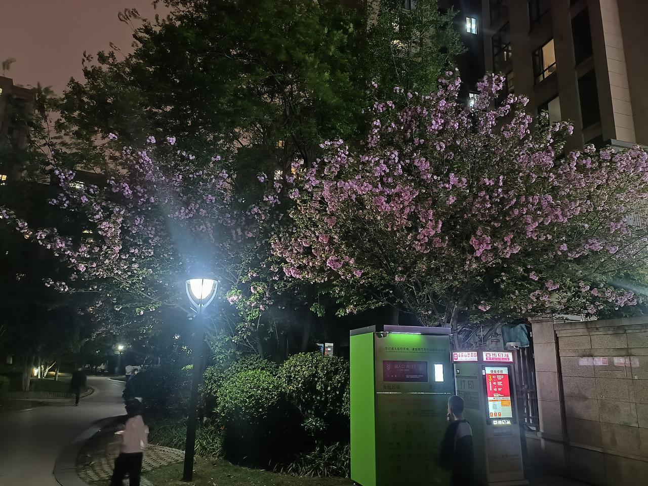 长沙南部融城片区加速崛起 全新“山水洲城”绘就发展新图景
 
“岳麓山为屏、湘江