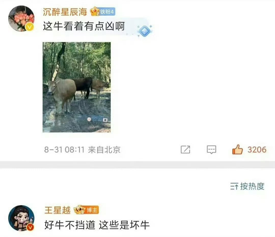 王星越回复网友：好牛不挡道 ​​​
