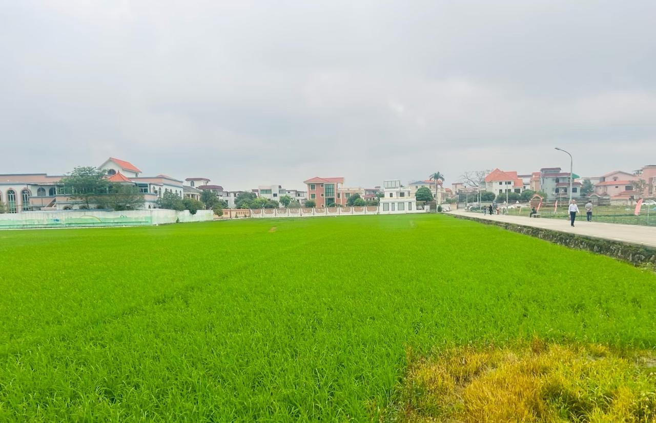 现在越来越多香港人定居中山，尤其是中山三乡一带，而且中山楼价便宜物价低，环境好生