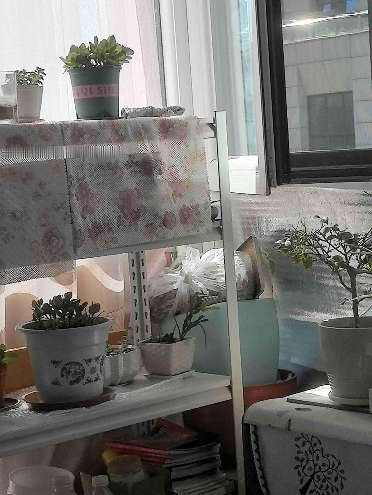 我的今日状态：😁轻松愉快
我这里的天气：☀️晴天 进入入伏