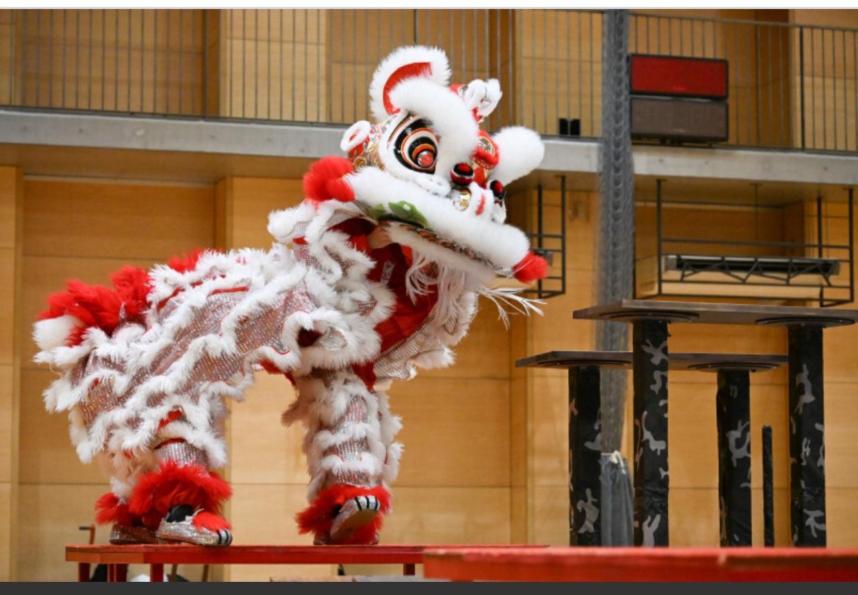 横滨举办中华舞狮国际大赛
日本《朝日新闻》4月6日“中华舞狮”大赛首次在日本举办