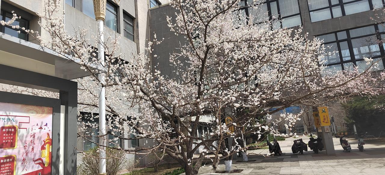 别人欠我十万元钱，说好每月二十五号给我两千元，直到还完为止。于是每每要到二十五日