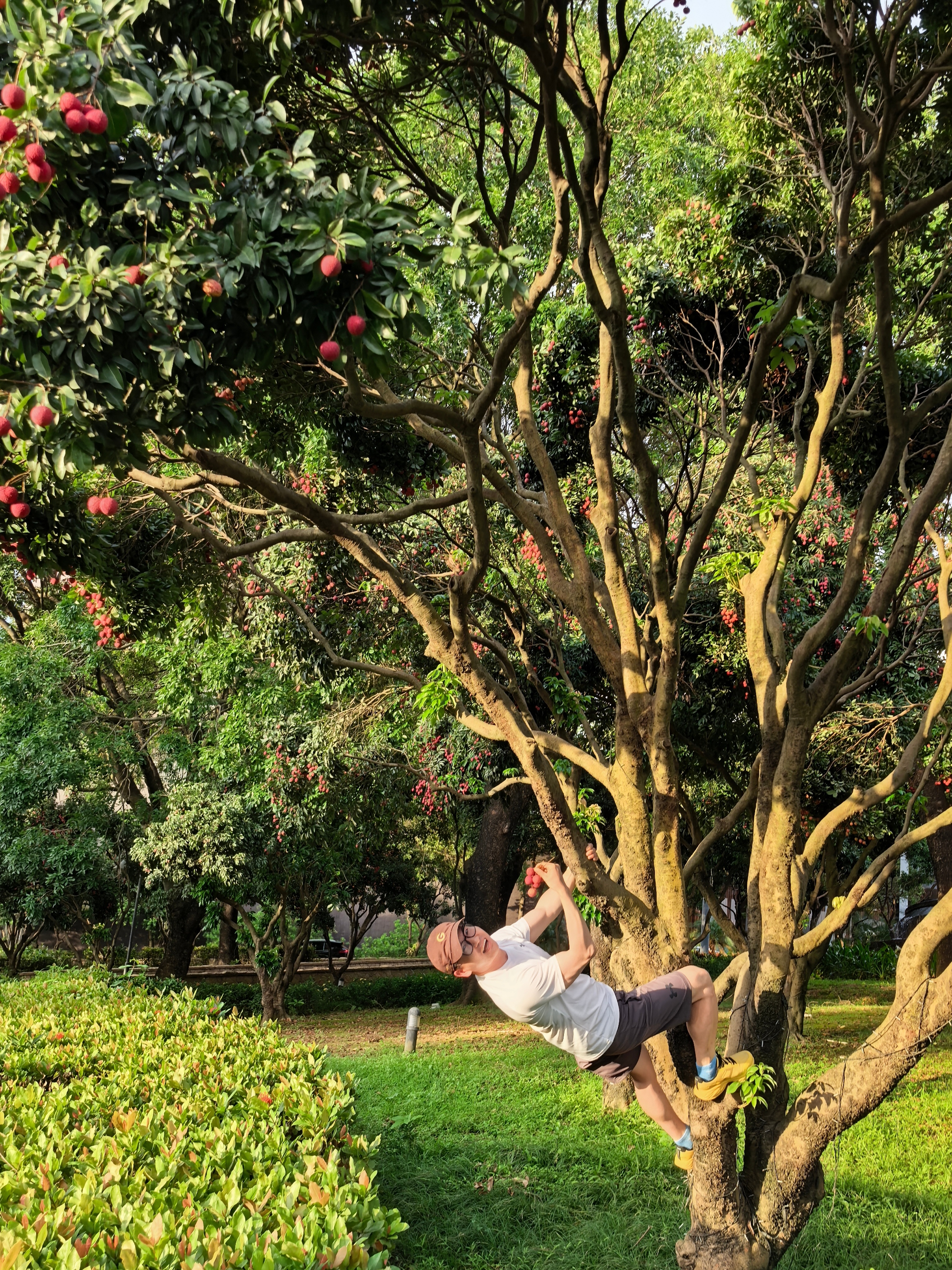 你问我长大了以后，搞科研还是开飞机你问我成功的定义，是锦旗还是老中医我说我只想做