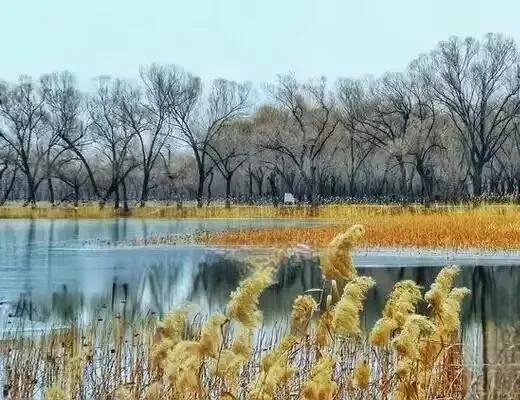 《 冬至 》

时临冬至未言寒，
偶有冰霜替雪欢。
寄语光阴明四季，
枯枝落叶盼