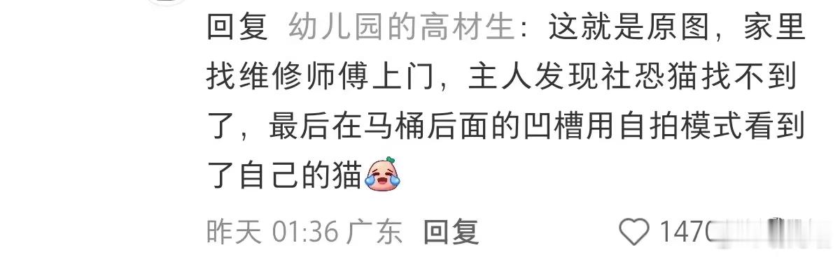 好萌好萌… 