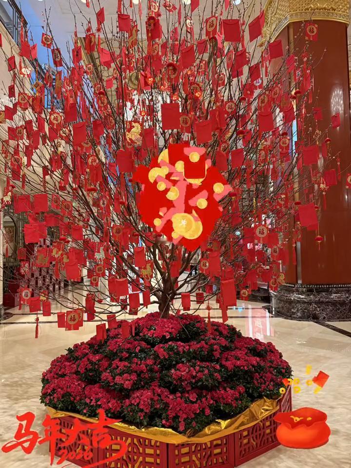 走路像只鸭，今年一路发。