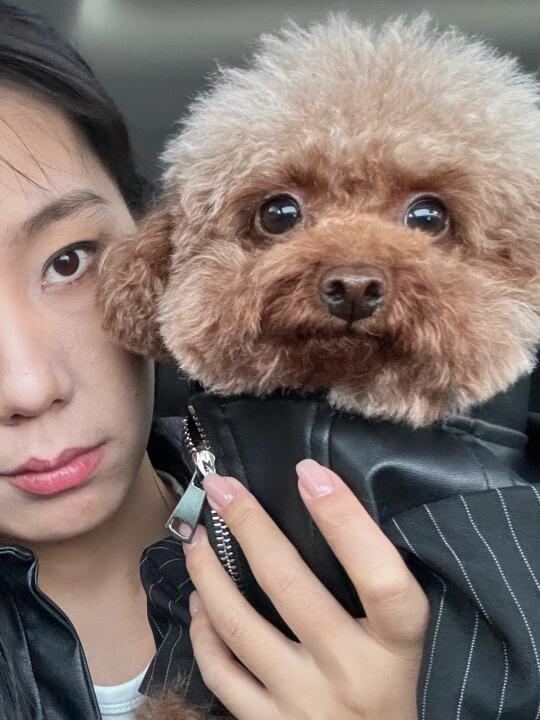 🐶：人！我好像被你装到了！