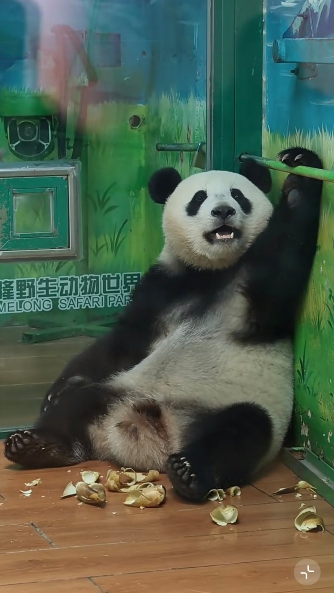 最近老给我推妹猪，又有点想去看她了