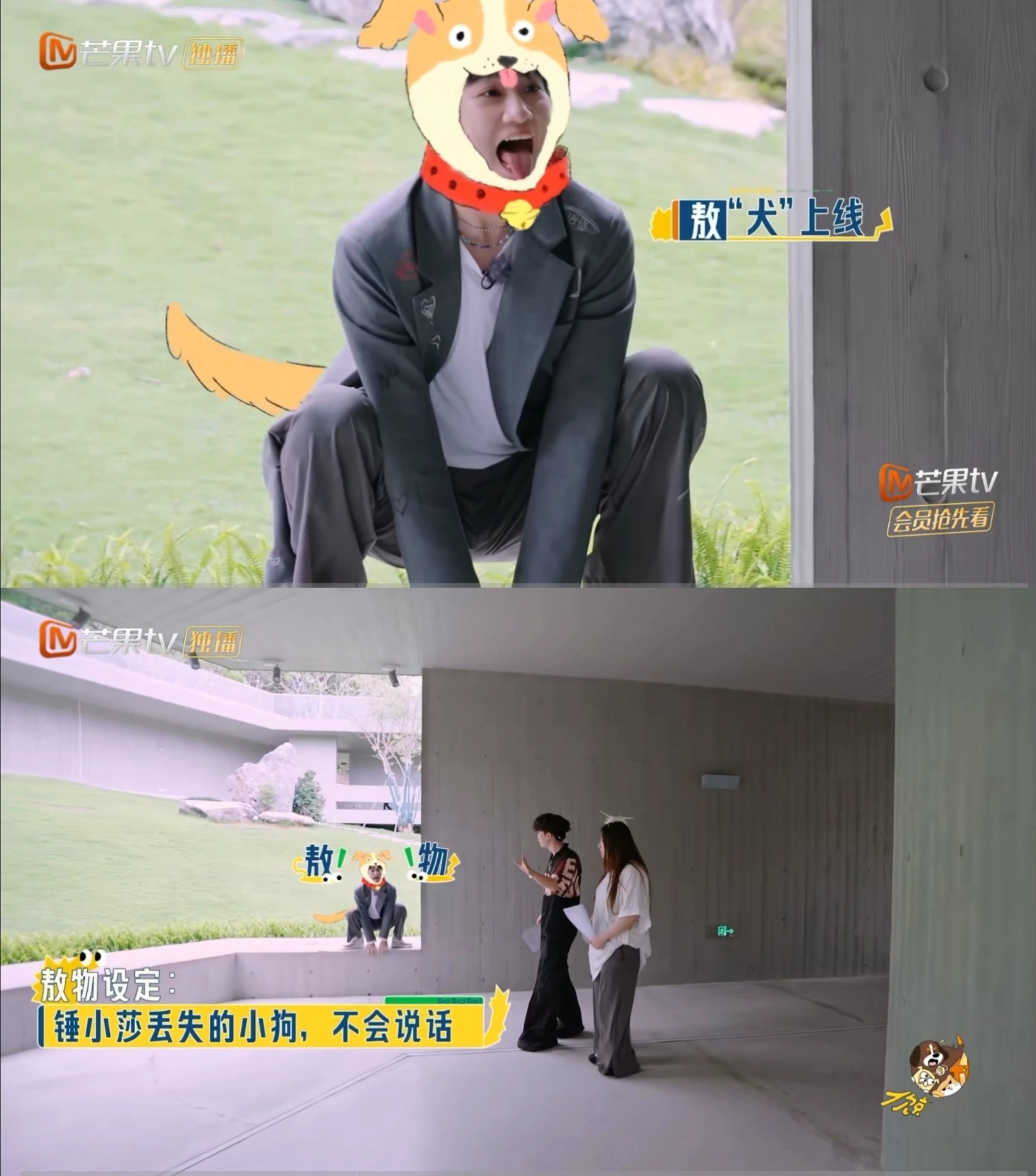 综艺史上最混乱的关系出现了本以为婆媳剧够抓马，直到《好一个乖乖锤》！五人关系盘到