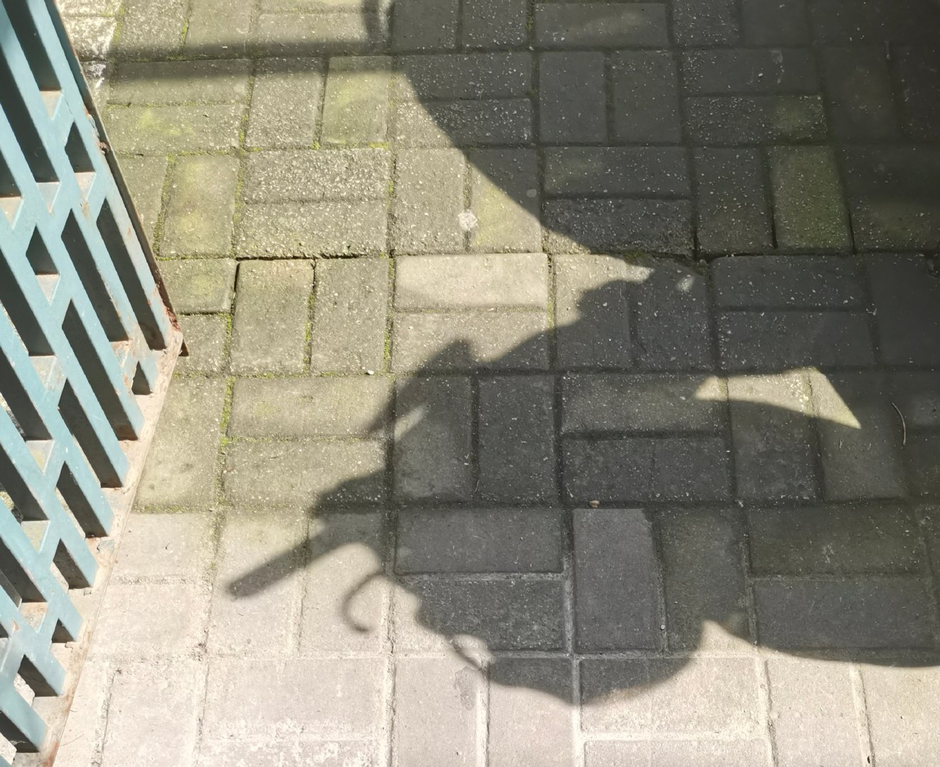 好久不见的太阳光又将好久不见。 