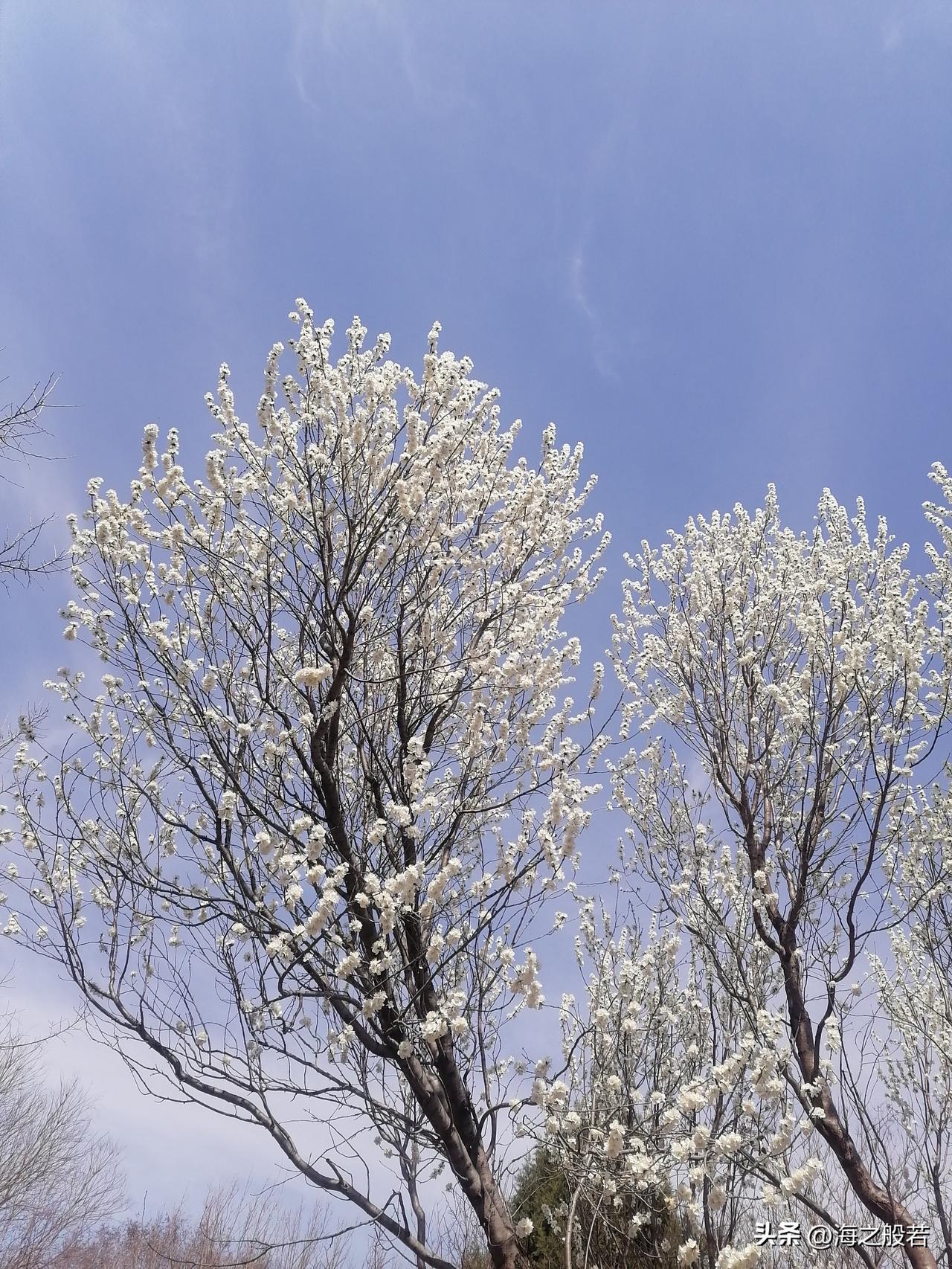 坚持了，说来惭愧，我把头条当成日记本了，从来没考虑过要写什么主题，垂不垂直，选什