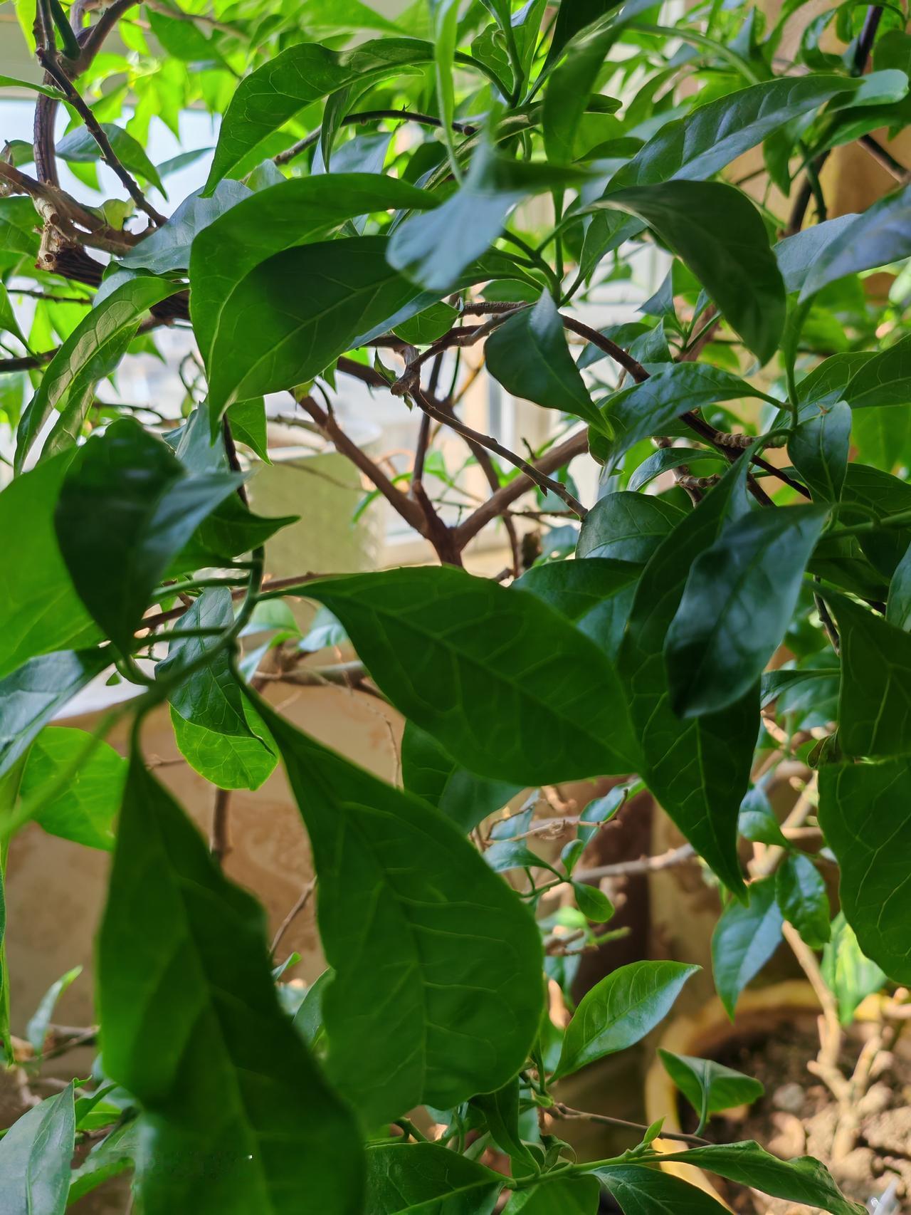 春天花会开，
快乐每一天。