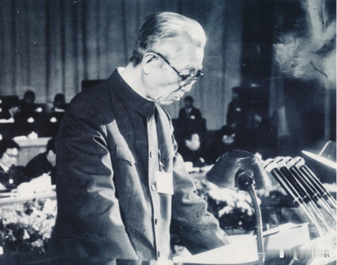 1984年5月26日，时任最高人民法院院长郑天翔在第六届全国人民代表大会第二次会