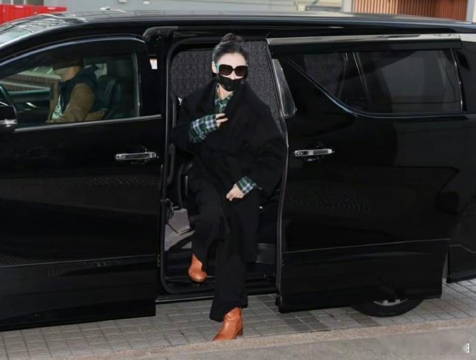 张柏芝出庭 神图张柏芝出庭生图隔着口罩都挡不住的神颜气质，这个我骨相太优越了，肌