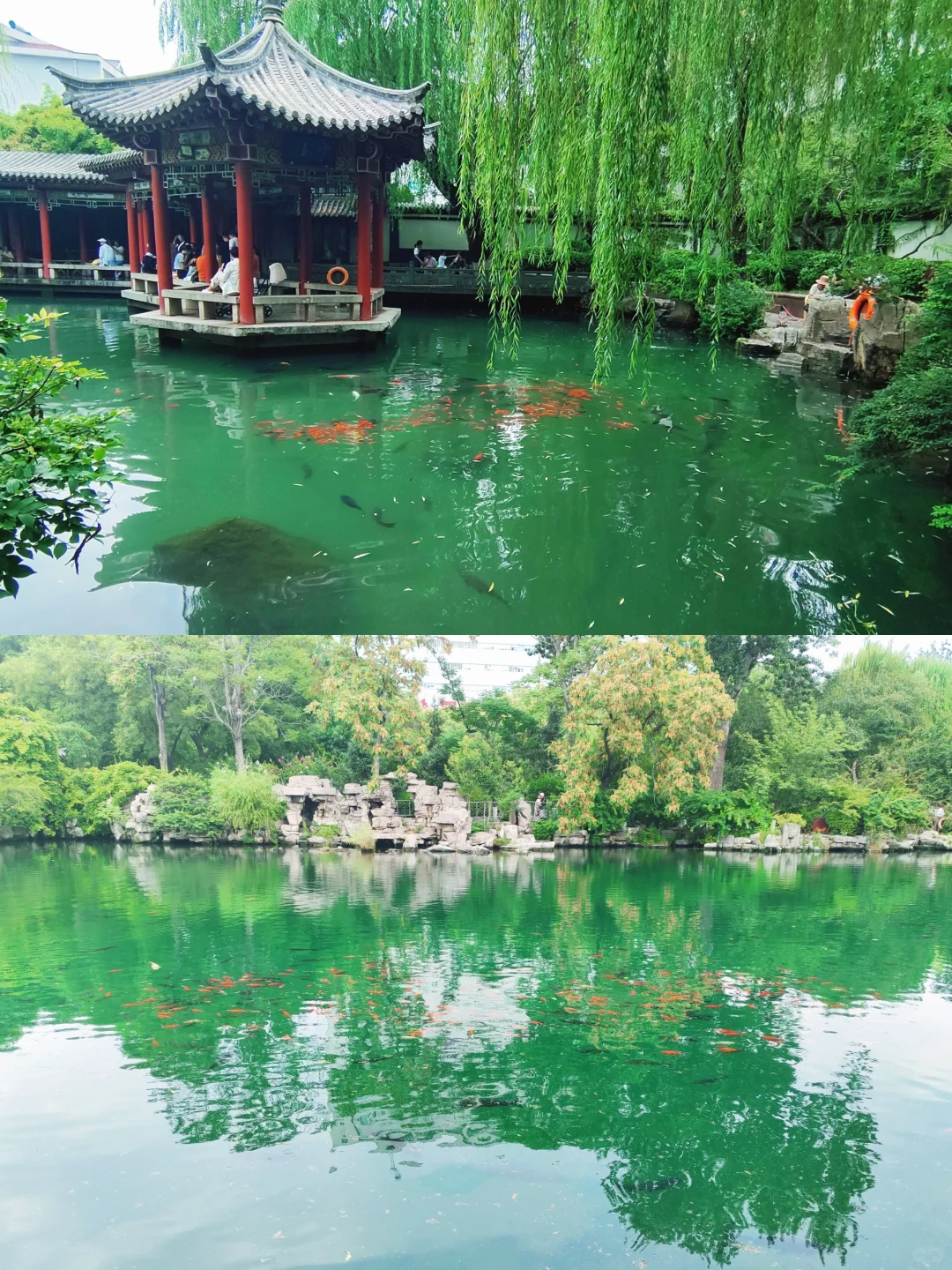 大学生穷游第37站：济南