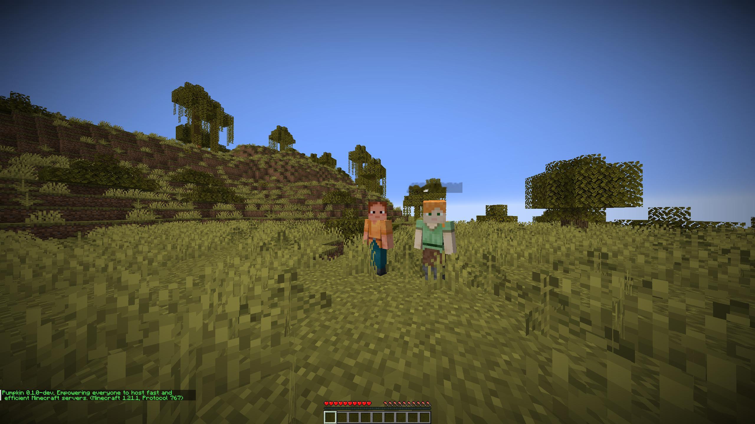 Pumpkin，一个rust写的 Minecraft （我的世界）服务器gith