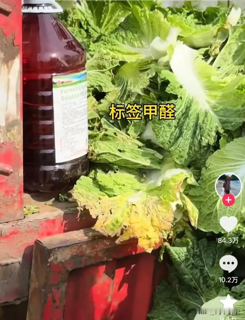 白菜蘸甲醛保鲜？这不是保鲜，这是给老百姓下毒！

别跟我说什么“为了运输保鲜不得