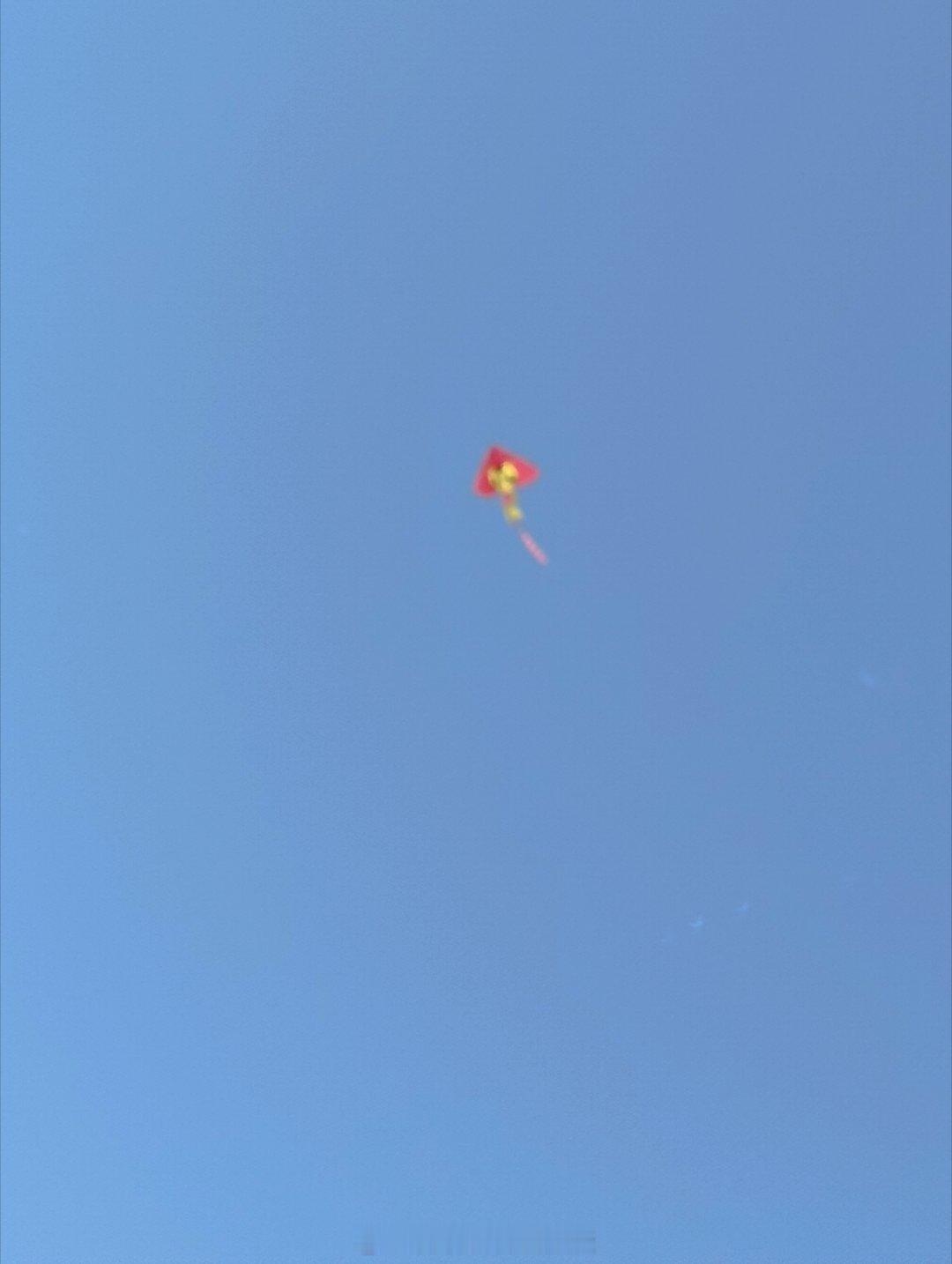 很多人的代谢不知不觉被拖垮了 广场上好多人出来放风筝，大家多活动活动，见见阳光，