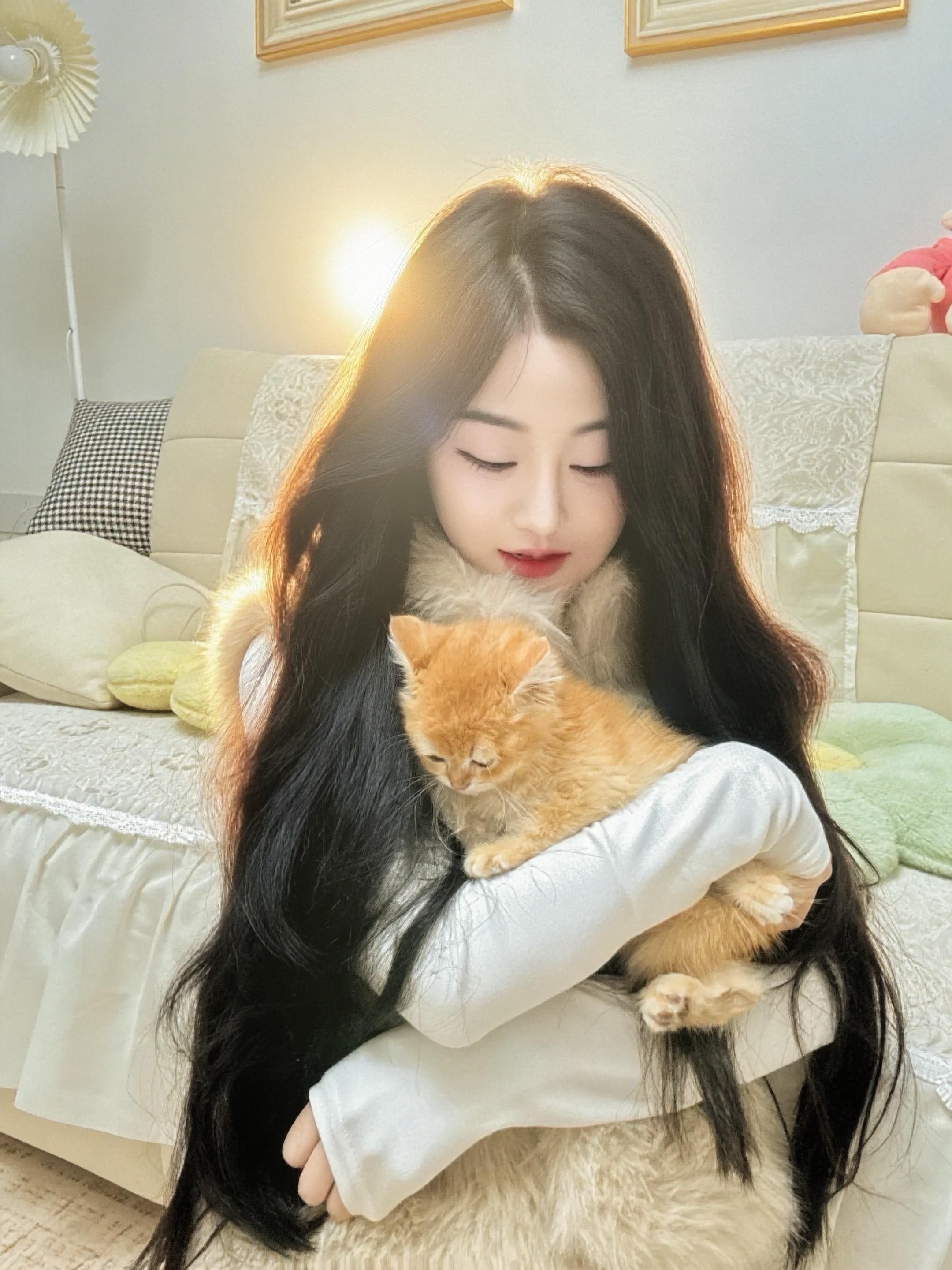 不管你今天过得有多糟，回家开门总有个小毛球在等你