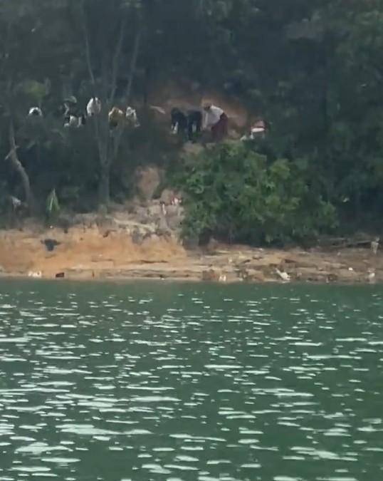 伪善者才是最可怕的。近日，有网友发视频称，多人将大量猫咪运至广东清远迎咀水库附近