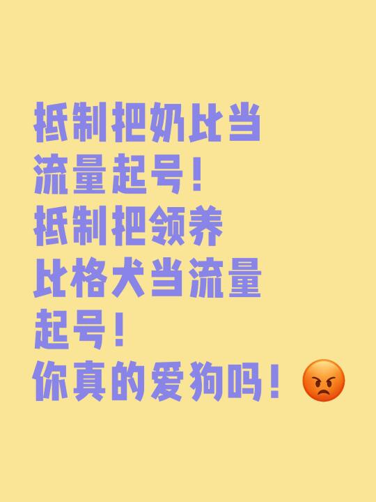 一时兴起养狗真的好吗！