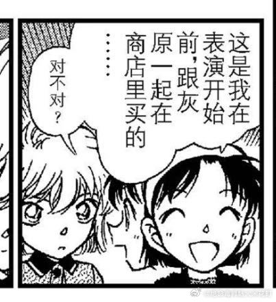 猫狗概念6929 ​​​
