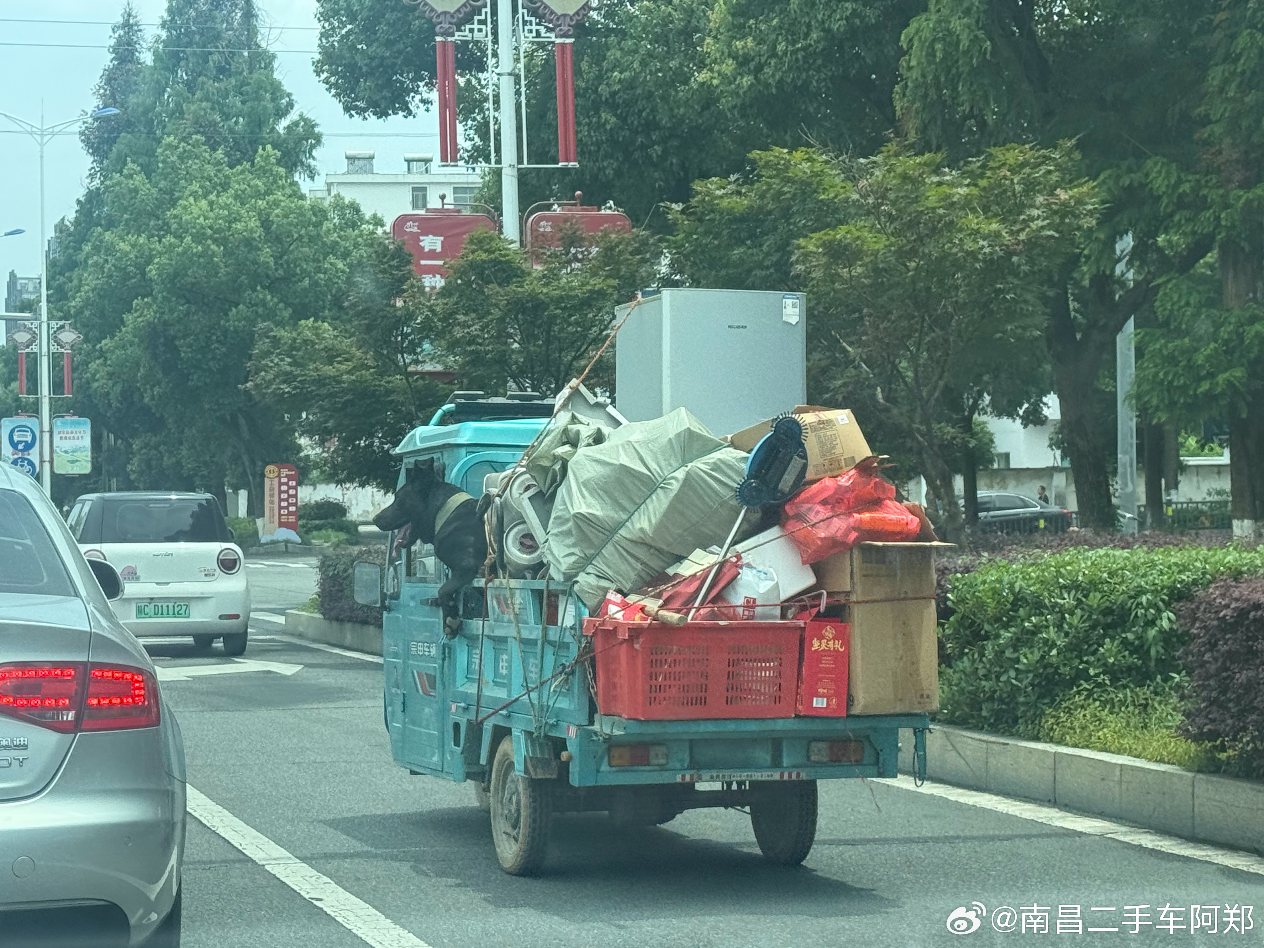 狗狗很快乐