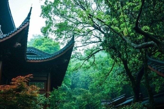 灵隐寺丨杭州 ​​​​浙江旅游 ​​​