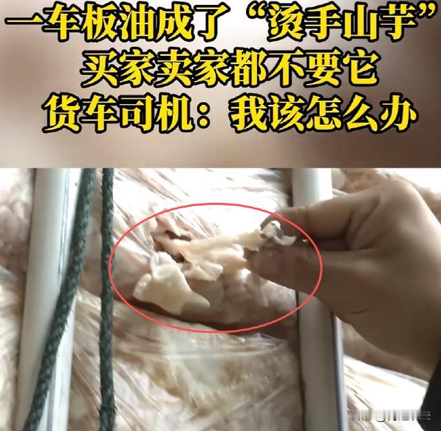 重庆，货车司机刘师傅按货主要求，将19吨板油从南岸区云南冻品市场，送到两江新区指