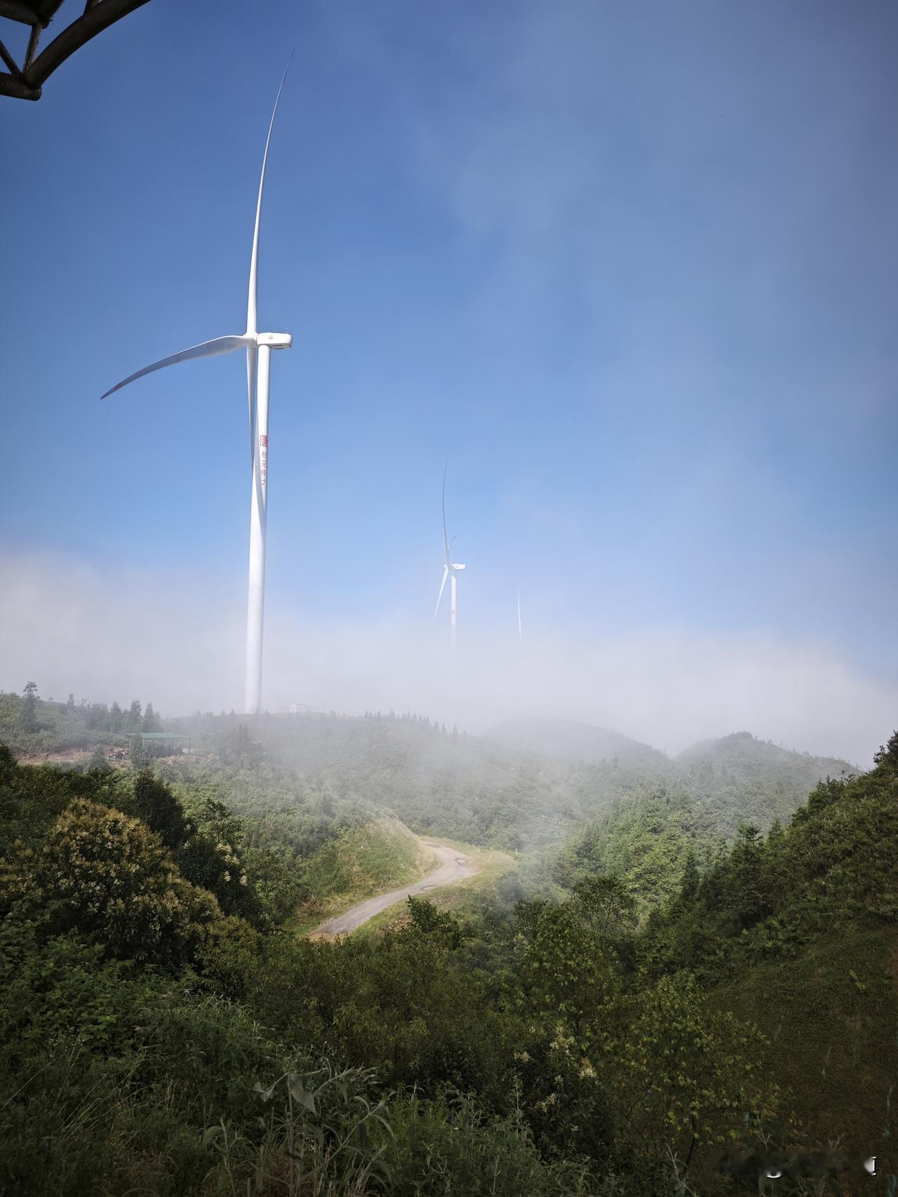 贵州避暑，看玉簪花。
金沙玉簪花云海景区，是一个新建的景区，在毕节金沙县，距离百