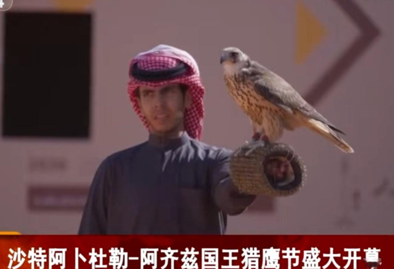 沙特猎鹰节的文化盛宴
 
沙特阿卜杜勒-阿齐兹国王猎鹰节盛大启幕，画面里猎鹰或戴