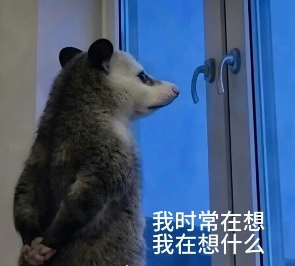小蓝灯 之前理想开始用小蓝灯的时候，很多车厂向工信部举报说不符合国标灯光标准。后