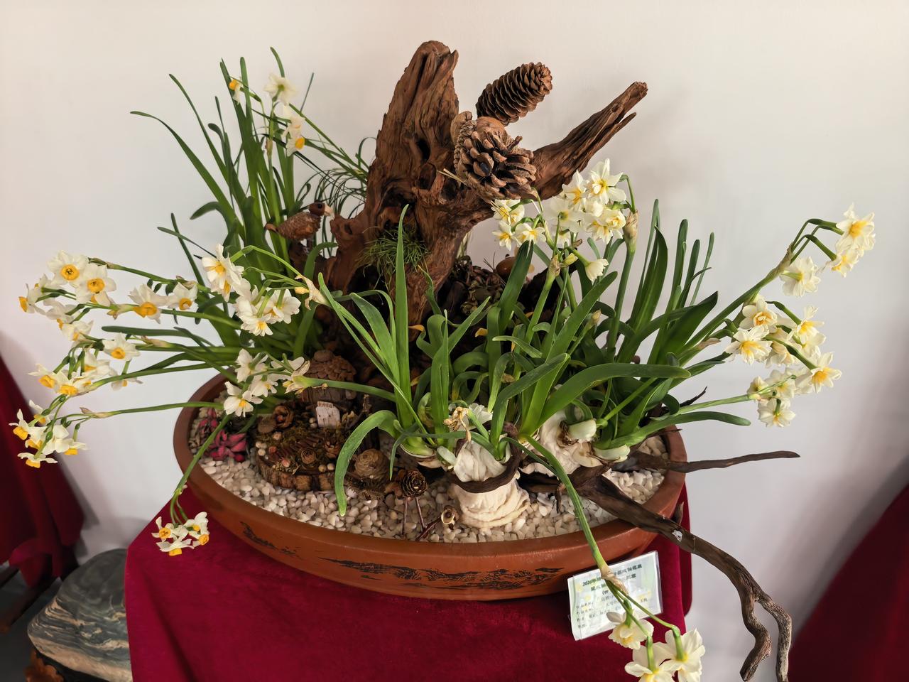 记录我的2026在公交车上看手机，竟然错过了一站。