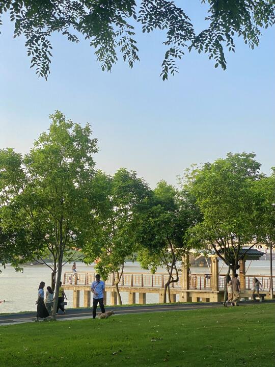 公园里的春和景明✿.*🍃好有能量感。。。