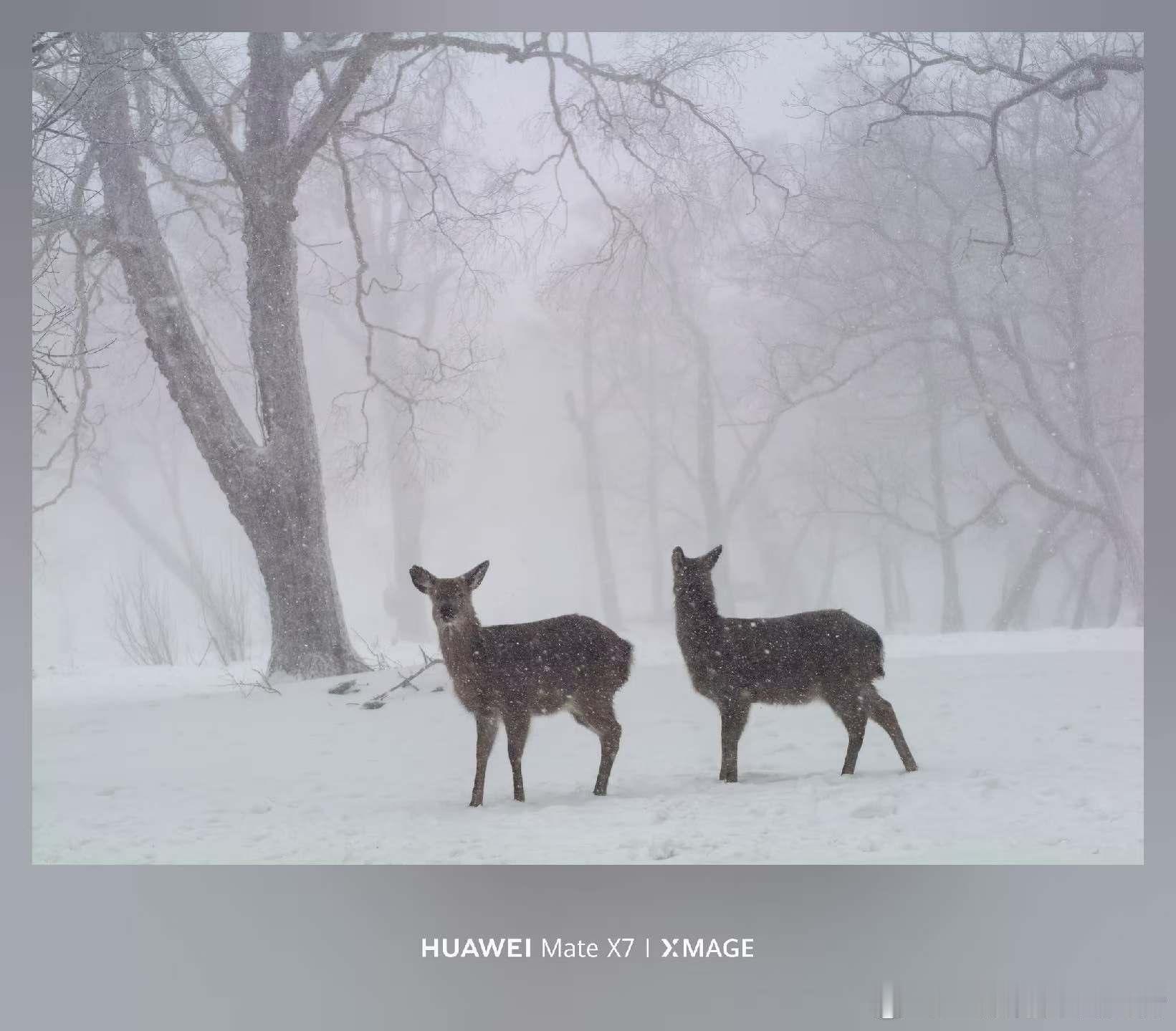 人生有两个需要既躬身入局，又抽身旁观躬身入局者体会生活的当下体会每一次鲜活的心跳