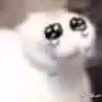 #年轻人买黄金到底是在买什么#在这个物价飞涨的时代，黄金可以说是年轻人对生活一种