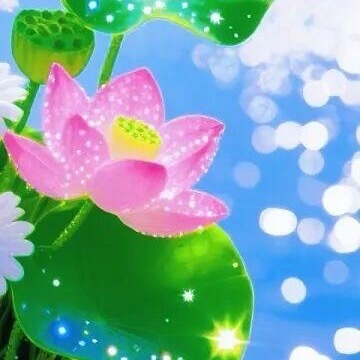 阳光信用  💫阳光信用  💫每日一善再长的路，一步步也能走完；再短的路，不迈