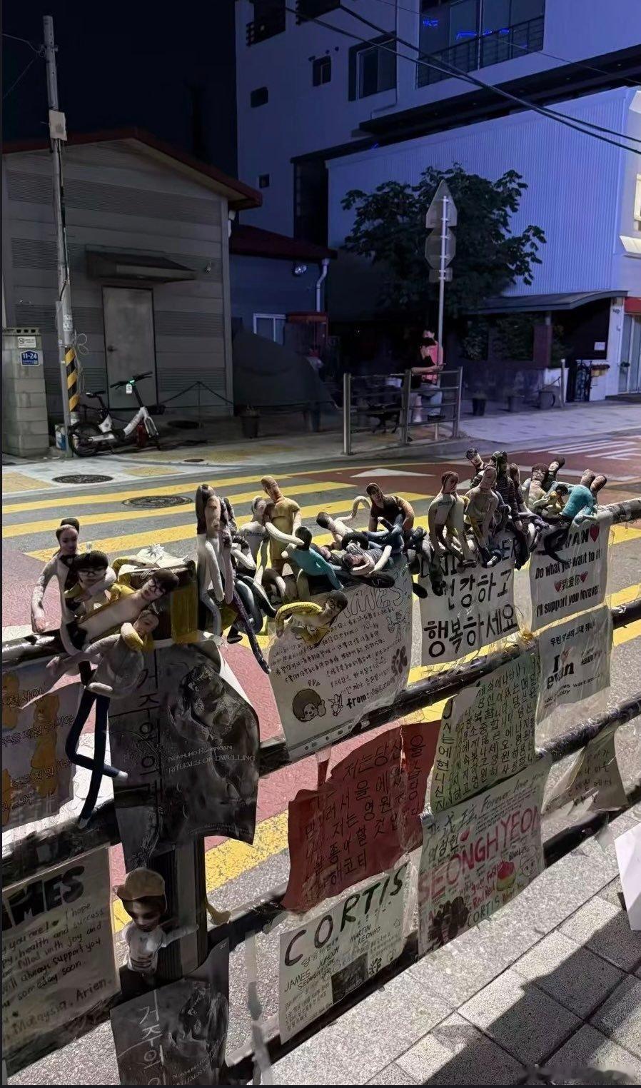 这繁殖得有点旺盛了吧