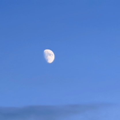 每日一善 🌹每日一善 🌹阳光信用 🌹生命，就像一场永无休止的苦役，不要惧怕