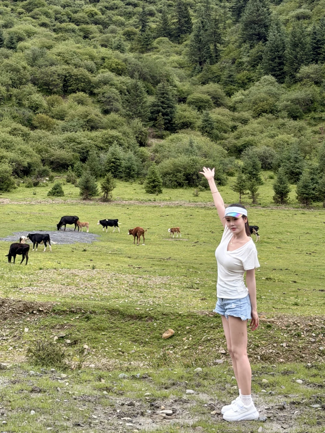 牛马进山