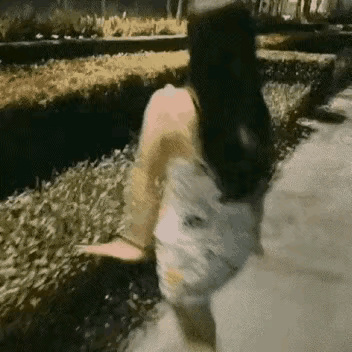 两个美女这种情况，八成是喝多了，要不然不会这样干事啊。