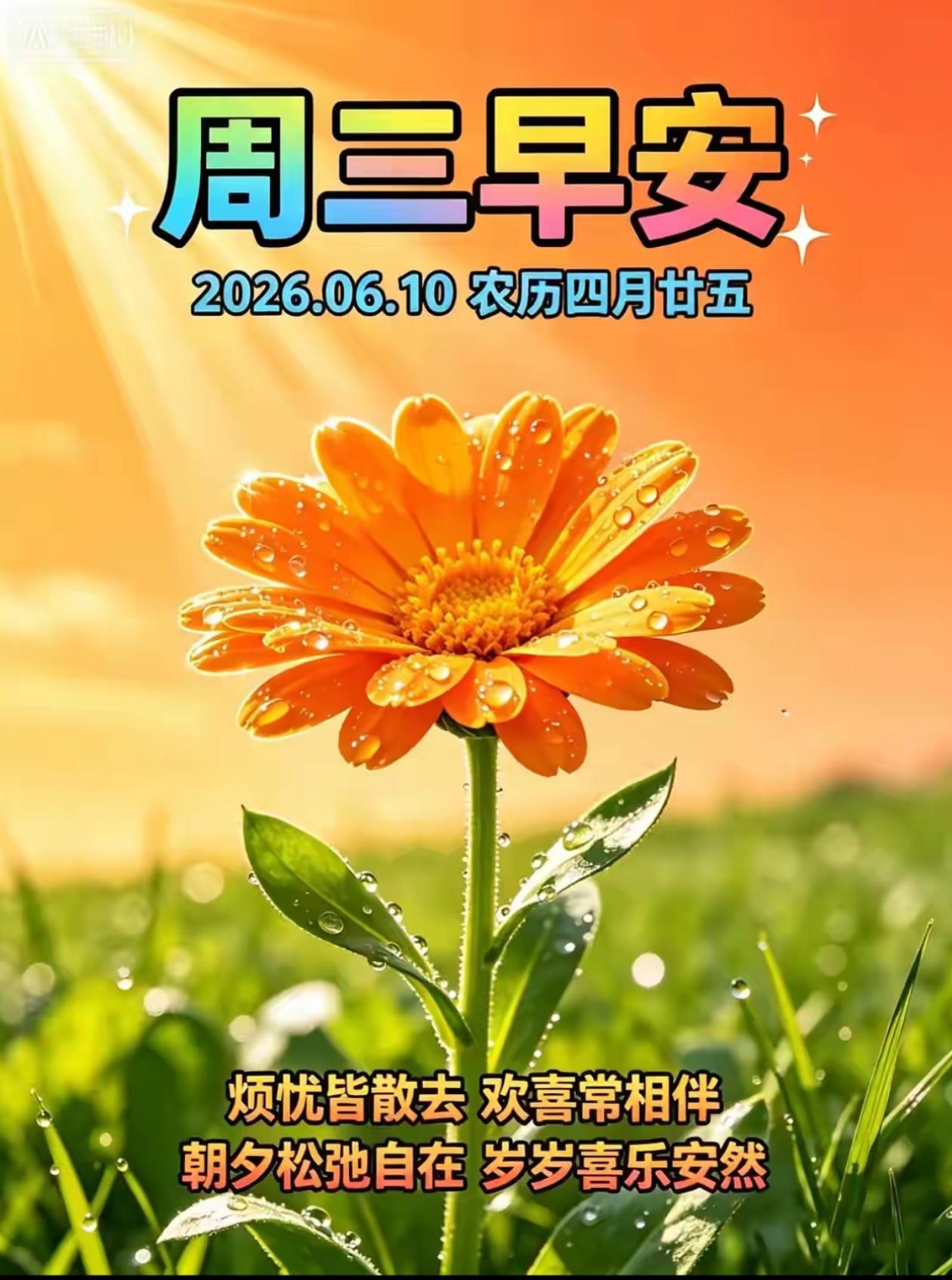🌺2026./6.10.身舒心顺.朝夕呈祥🌺

🌿🌷夏日美景，皆收眼底，