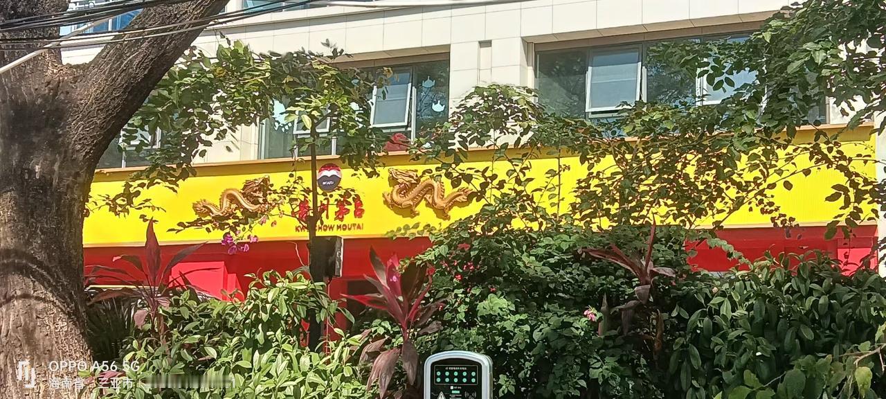 新春来抓马 我的足迹地图