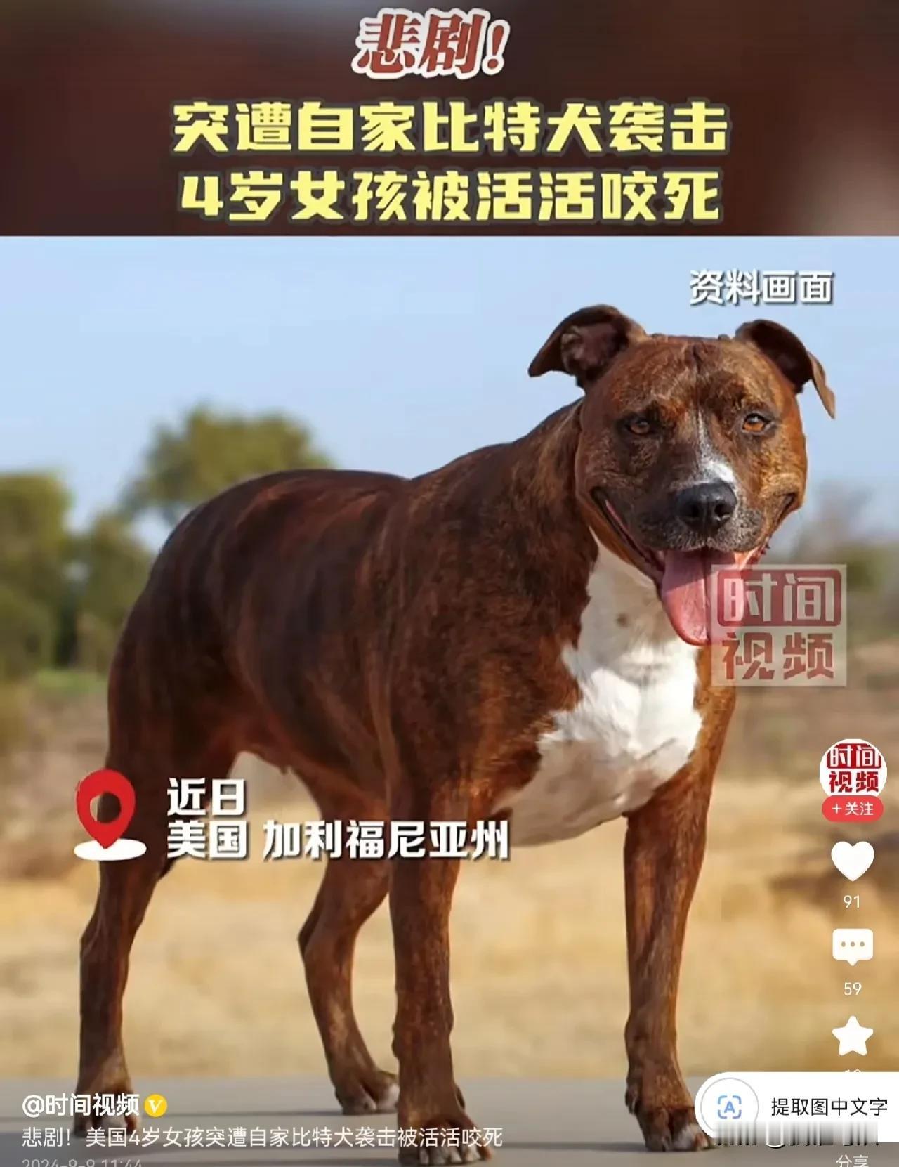 #美国4岁女孩遭自家比特犬活活咬死#  这么可爱的小女孩，被自己家养的比特犬活活