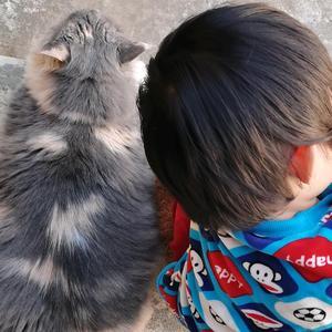 深圳豆皮小开心