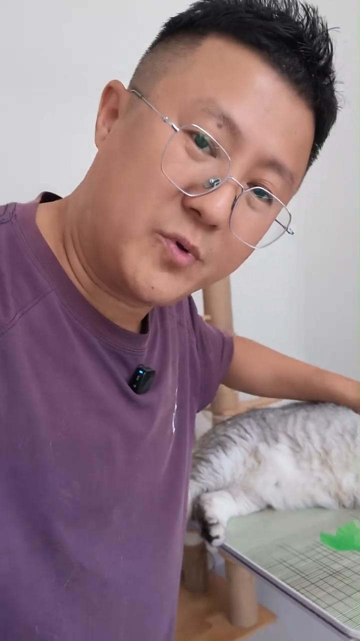 看看，一下就掉毛了。
我刚才拿梳子给它梳了一下毛，这毛掉的。银渐层的掉毛怎么这么