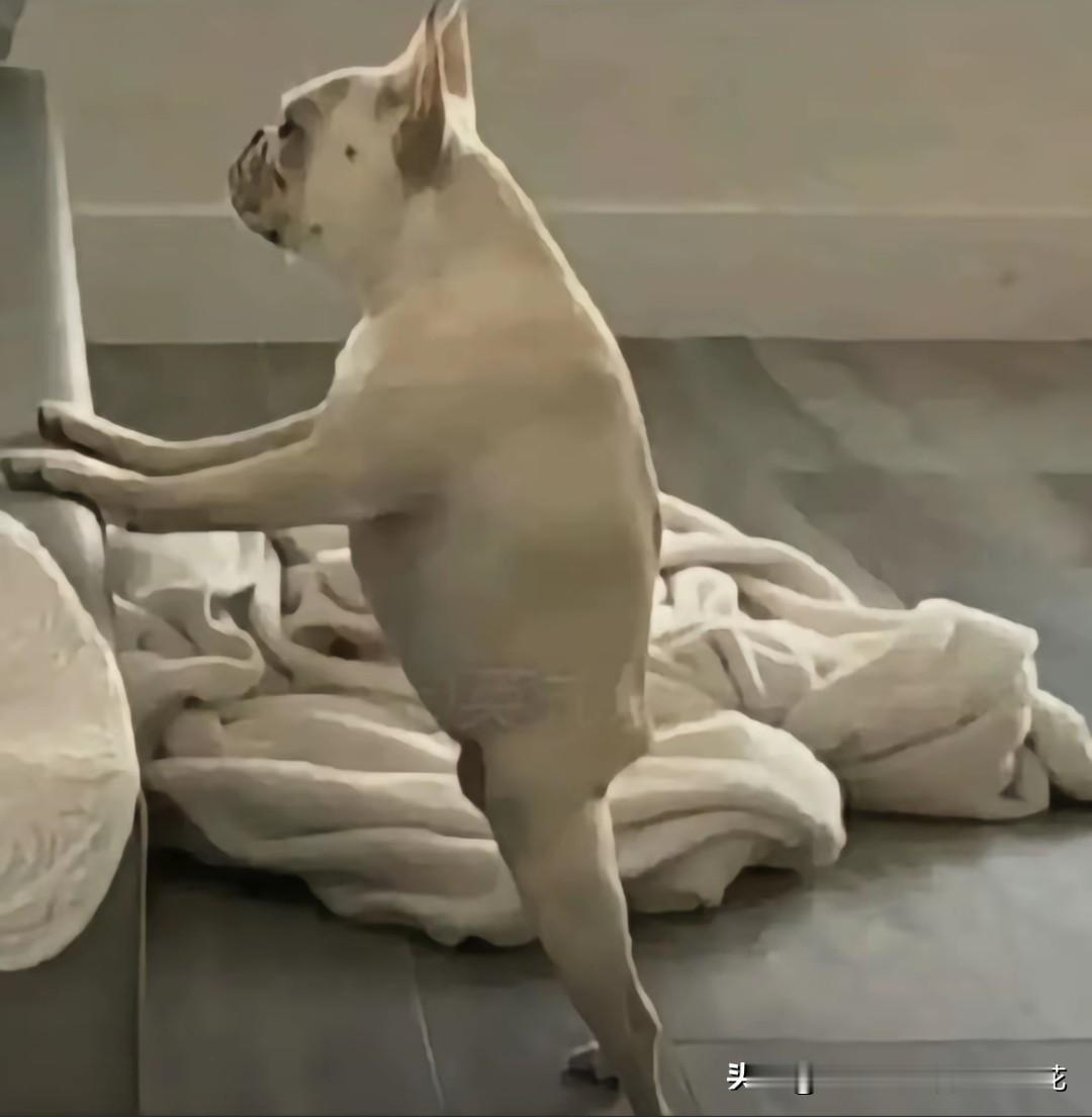 第二压力来自职场和事业，每天都很忙碌，事业遥遥无期，人生一眼就能看到头，每思及此